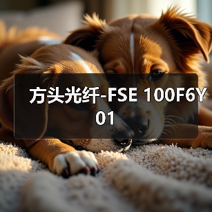 方头光纤-FSE 100F6Y01（图3）