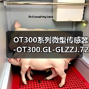 OT300系列微型传感器-OT300.GL-GLZZJ.72CU（图1）