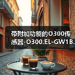 带附加功能的O300传感器-O300.EL-GW1B.72CU（图1）