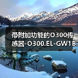 带附加功能的O300传感器-O300.EL-GW1B.72CU（图2）