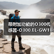 带附加功能的O300传感器-O300.EL-GW1B.72CU（图4）