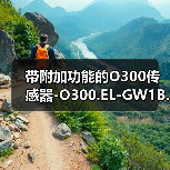 带附加功能的O300传感器-O300.EL-GW1B.72CU（图3）