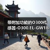带附加功能的O300传感器-O300.EL-GW1B.72N（图1）