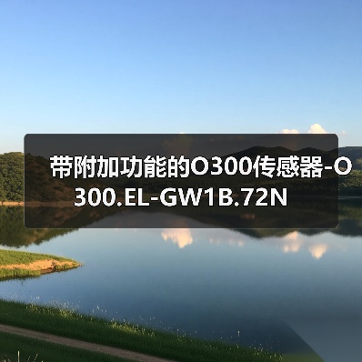 带附加功能的O300传感器-O300.EL-GW1B.72N（图3）