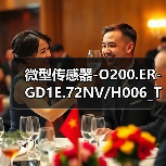 微型传感器-O200.ER-GD1E.72NV/H006_T003（图1）