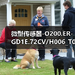 微型传感器-O200.ER-GD1E.72CV/H006_T003（图3）
