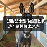 矩形超小型传感器如何选？高性价比之选（图2）
