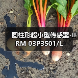 圆柱形超小型传感器-IFRM 03P3501/L（图3）