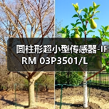 圆柱形超小型传感器-IFRM 03P3501/L（图4）
