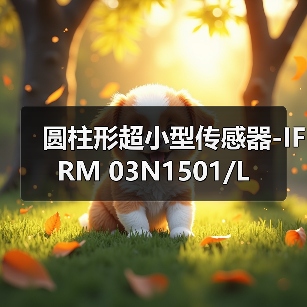 圆柱形超小型传感器-IFRM 03N1501/L（图1）