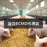 堡盟BCMD传感器(图4) 堡盟BCMD传感器(图4)