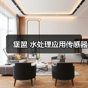 堡盟 水处理应用传感器(图2) 堡盟 水处理应用传感器(图2)