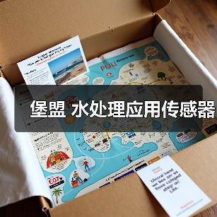 堡盟 水处理应用传感器(图4) 堡盟 水处理应用传感器(图4)