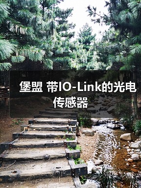 堡盟 带IO-Link的光电传感器（图2）
