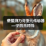 堡盟测力荷重元传感器—坚固且精确(图1) 堡盟测力荷重元传感器—坚固且精确(图1)