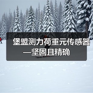 堡盟测力荷重元传感器—坚固且精确(图4) 堡盟测力荷重元传感器—坚固且精确(图4)