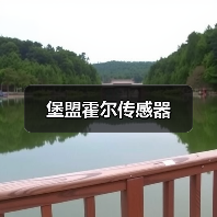 堡盟霍尔传感器(图2) 堡盟霍尔传感器(图2)
