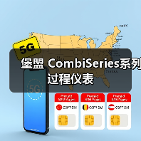 堡盟 CombiSeries系列过程仪表（图1）