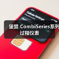 堡盟 CombiSeries系列过程仪表（图4）