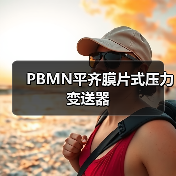 PBMN平齐膜片式压力变送器（图4）