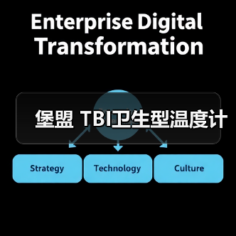 堡盟 TBI卫生型温度计(图1) 堡盟 TBI卫生型温度计(图1)