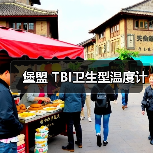 堡盟 TBI卫生型温度计(图2) 堡盟 TBI卫生型温度计(图2)