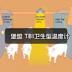 堡盟 TBI卫生型温度计(图4) 堡盟 TBI卫生型温度计(图4)