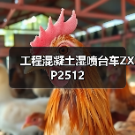 工程混凝土湿喷台车ZXP2512(图4) 工程混凝土湿喷台车ZXP2512(图4)