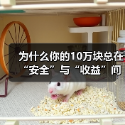为什么你的10万块总在“安全”与“收益”间反复拉扯？——一个关于投资风险的深度拆解（图3）