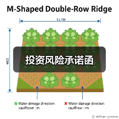 投资风险承诺函（图4）