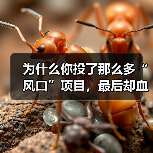 为什么你投了那么多“风口”项目，最后却血本无归，而别人家的私募却能稳稳赚钱？（图1）