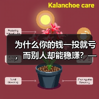 为什么你的钱一投就亏，而别人却能稳赚？——破解投资中的“道德风险”陷阱（图3）