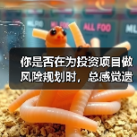 你是否在为投资项目做风险规划时，总感觉遗漏了什么？（图4）