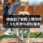 你真的了解网上理财吗?5大风险与避坑指南(图3) 你真的了解网上理财吗?5大风险与避坑指南(图3)