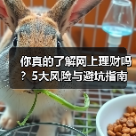 你真的了解网上理财吗?5大风险与避坑指南(图4) 你真的了解网上理财吗?5大风险与避坑指南(图4)