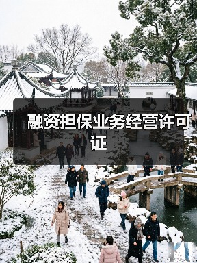 融资担保业务经营许可证（图2）