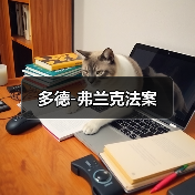 多德-弗兰克法案(图1) 多德-弗兰克法案(图1)
